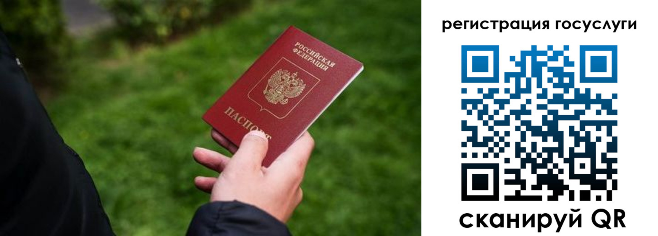 прописка в Кимовске